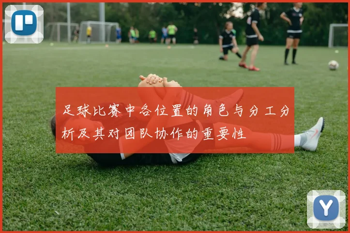 足球比赛中各位置的角色与分工分析及其对团队协作的重要性